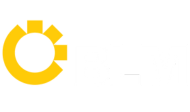 BLM Engineering Ltd